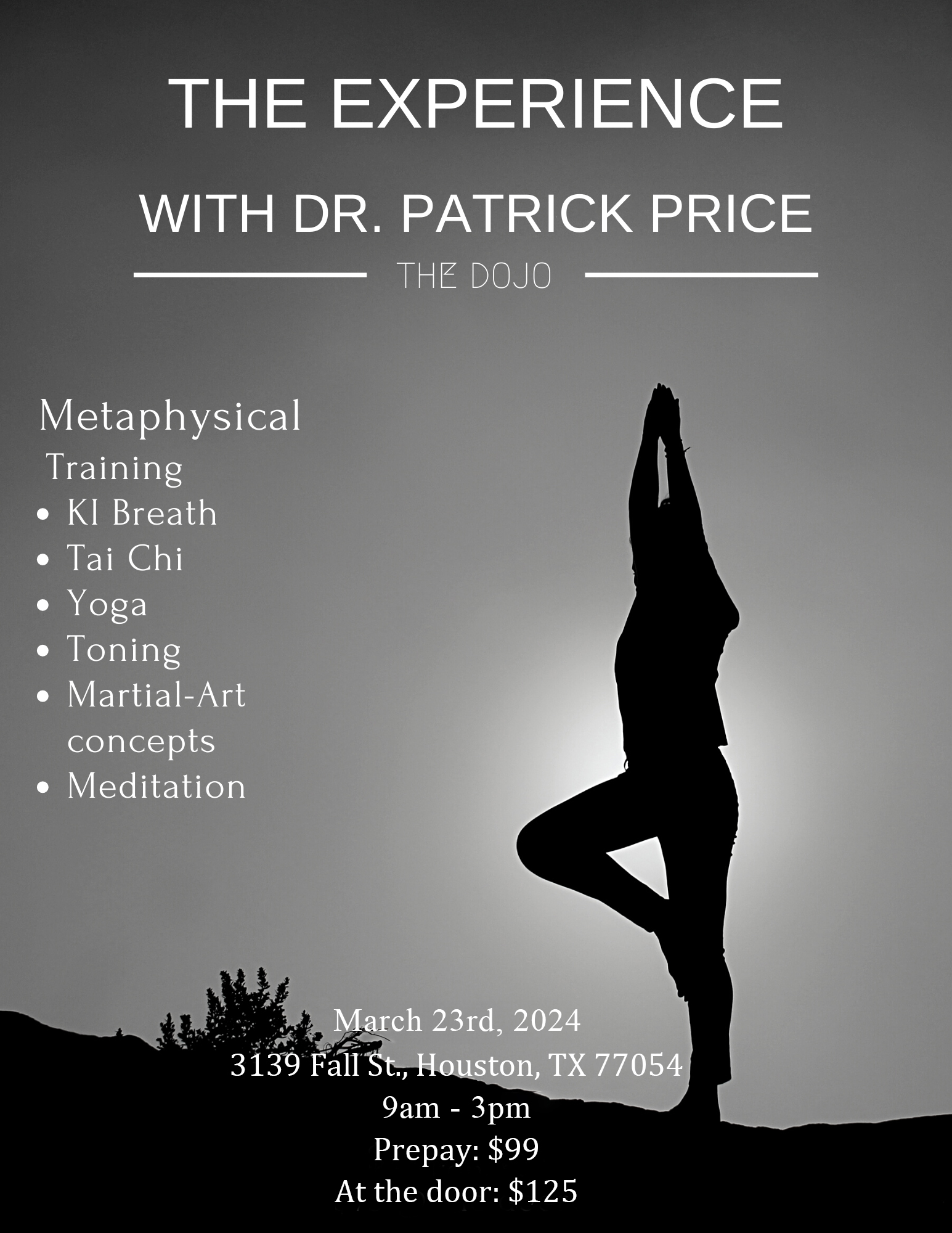 THE EXPERIENCE - DR. PATRICK PRICE - Houston International Wellness Center